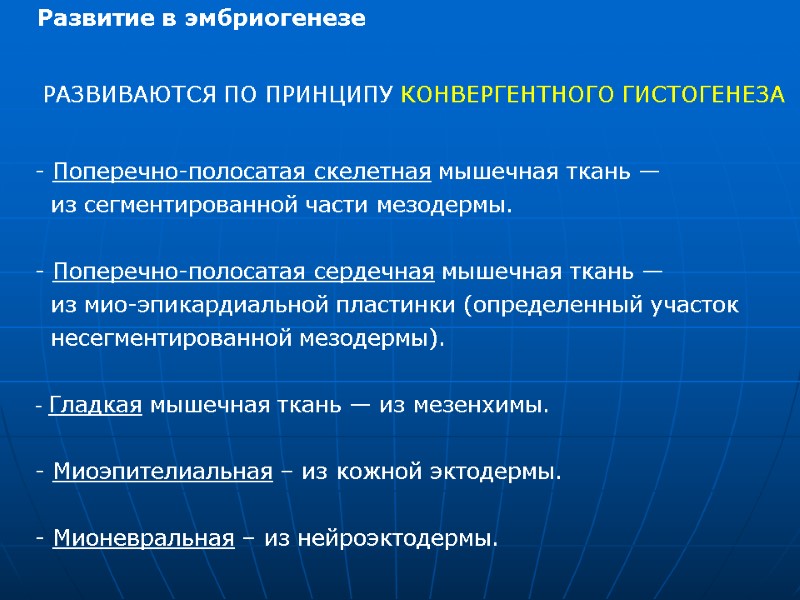 Развитие в эмбриогенезе  РАЗВИВАЮТСЯ ПО ПРИНЦИПУ КОНВЕРГЕНТНОГО ГИСТОГЕНЕЗА    Поперечно-полосатая скелетная